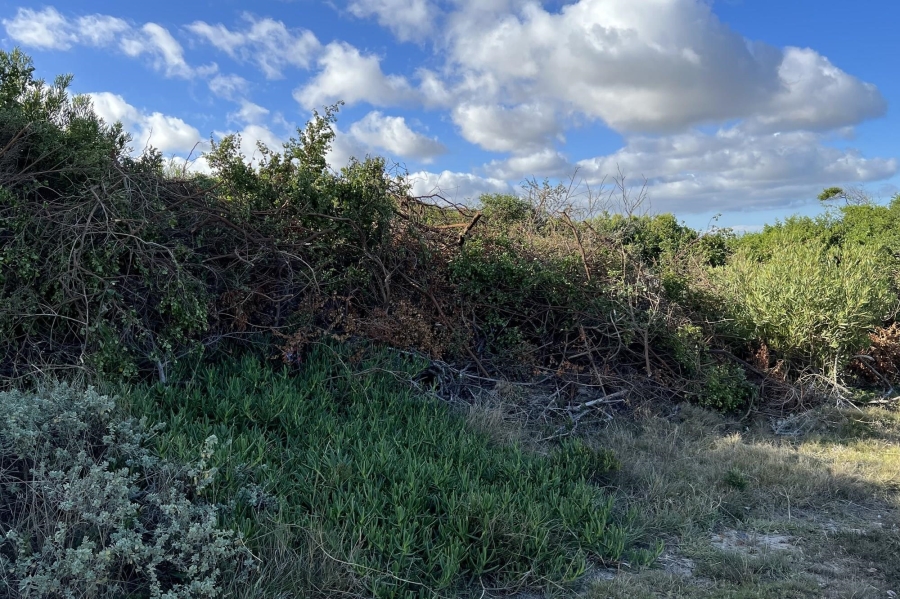 0 Bedroom Property for Sale in Paradise Beach Eastern Cape